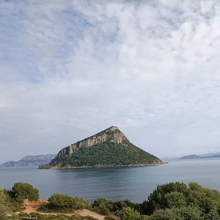Vgm * Olbia