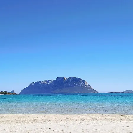 Vgm Olbia